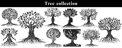 set of silhouettes of trees. black and white tree vector set. tree ...