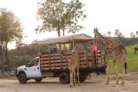 San Diego Zoo Safari Park Discount Tickets