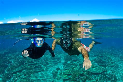 Fiji Snorkeling