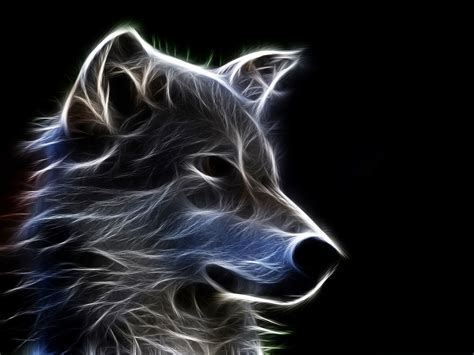 Mystic Wolf HD Wallpaper