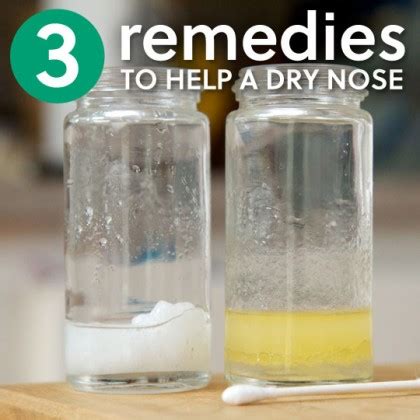 3 Incredibly Easy Remedies to Help a Dry Nose | Everyday Roots