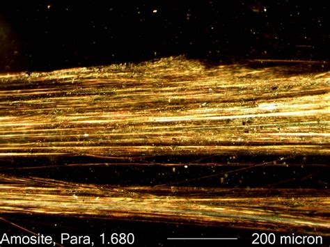 Amosite Asbestos, Darkfield Dispersion Staining Under the Microscope