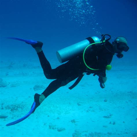 Scuba diving - Wikipedia