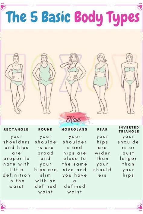 Female Body Types Chart