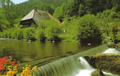 Black Forest, Germany | Black forest germany, Black forest, Germany