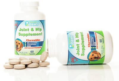 Help Your Dogs Joint Pain