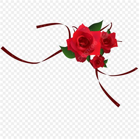 Transparent Red Rose Vector Similar with red rose transparent png