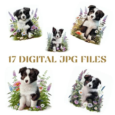 Border Collie Puppy Digital Watercolor Clipart, Border Collie Breed ...