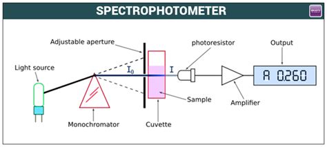 Double Beam Uv Vis Spectrophotometer Principle - The Best Picture Of Beam