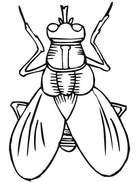 Bug Coloring Pages - Kidsuki