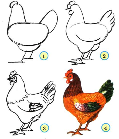 Realistic Chicken Drawing at GetDrawings | Free download