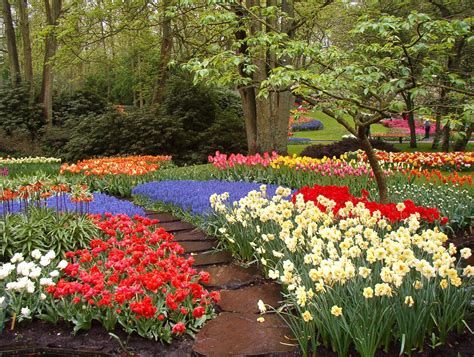 Keukenhof Tulip Gardens, Amsterdam | Lindas paisagens, Paisagens