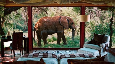 Top 10: most luxurious safari lodges in South Africa - the Luxury ...