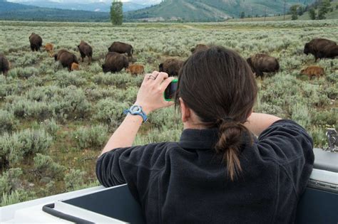 Jackson Hole Wildlife Tours - Jackson Hole Traveler