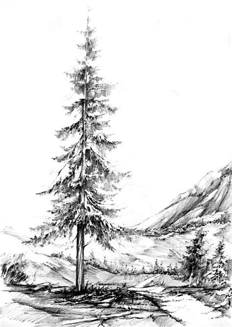 Lone tree - Tattoo inspiration | Landscape drawings, Tree drawings ...