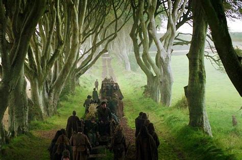 Game of Thrones | Dark Hedges | Giants Causeway Experiences