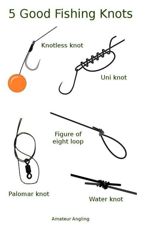 Palomar Knot Diagram