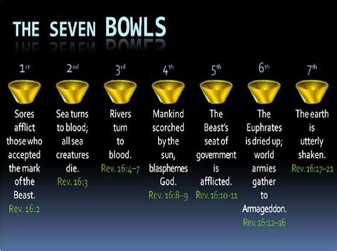 bowl judgements of Revelation | Revelation bible study, Revelation ...