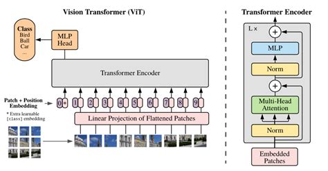 Vision Transformers (ViT) in Image Recognition: Full Guide - viso.ai