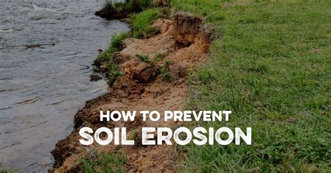 How to Prevent Soil Erosion