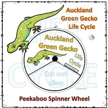 Gecko, Auckland Green (Life Cycle Spinner) by Donna Thompson | TPT