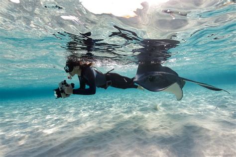 What Equipment Do You Need for Underwater Photography? | Nature TTL