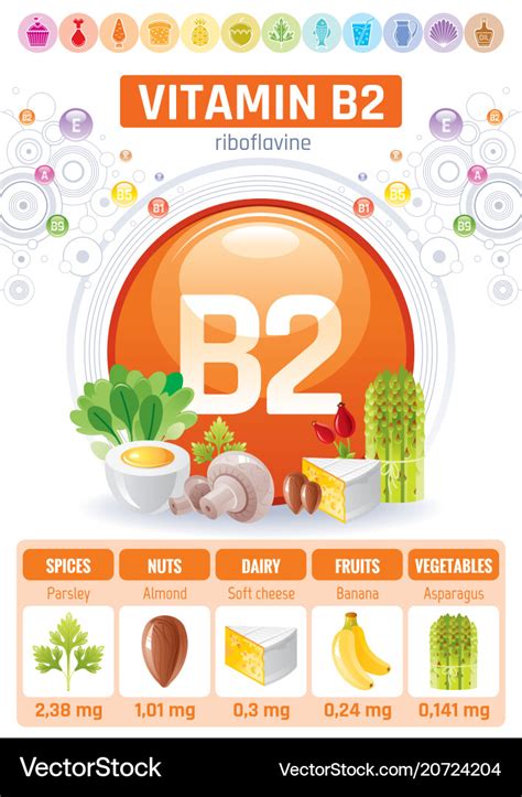 Riboflavin vitamin b2 rich food icons healthy Vector Image