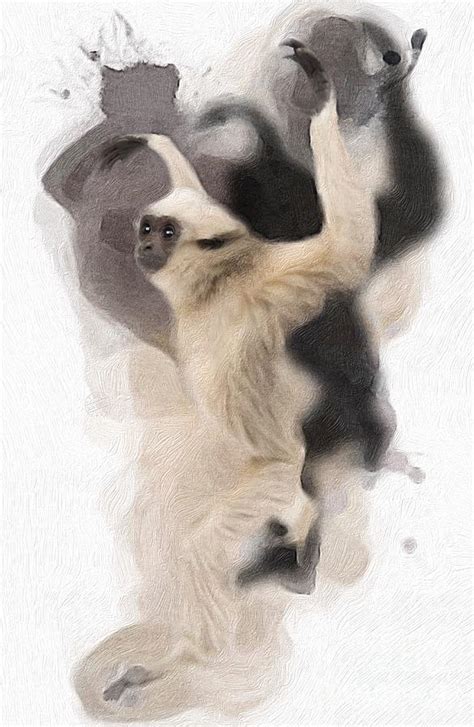 Pileated Gibbon Baby No 03 Digital Art by Mia Stedt