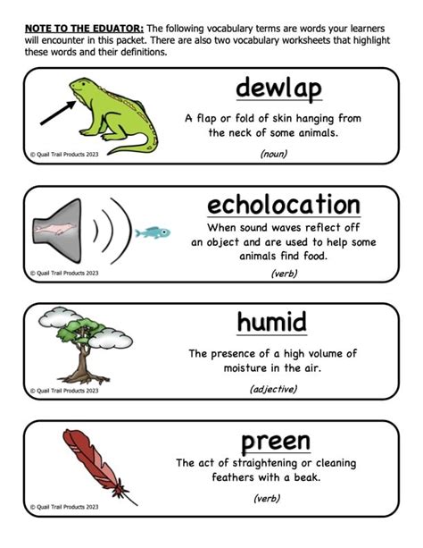 Animal Adaptations in the Rainforest Habitat Activities and Worksheets ...