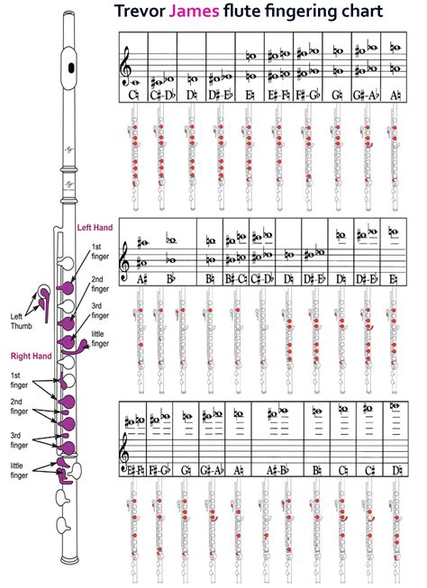 Trevor James Flutes Downloads