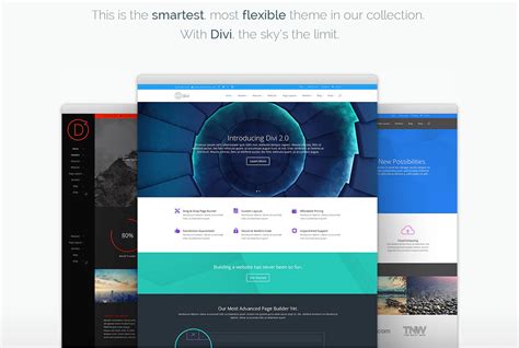 Divi-Theme