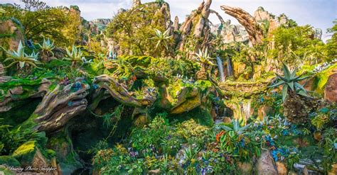 7 Reasons Why Pandora – The World of Avatar is a Must-See | How To Disney