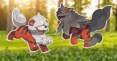 How to get Hisuian Growlithe and evolution Hisuian Arcanine in Pokémon ...