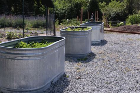 Galvanized Water Trough Planters • Insteading