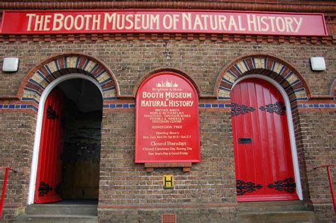 Booth Museum of Natural History | Dyke Road | My Brighton and Hove