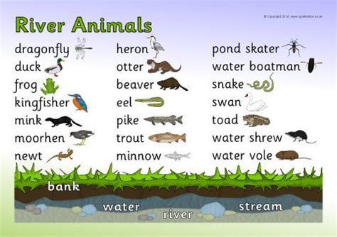 River Animals Word Mat (SB10643) - SparkleBox