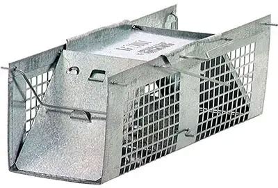 Best 7 Vole Traps (*2024 UPDATED*): Review & Buyer's Guide