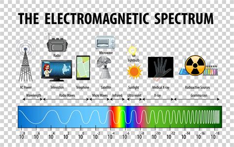 Electromagnetic Spectrum Infographic