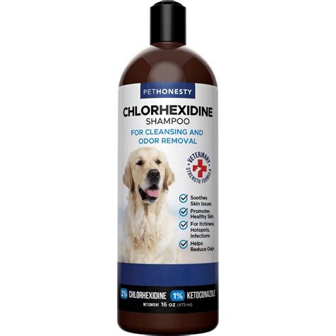 The Best Dog Shampoo for Itchy Skin - Finally Relief