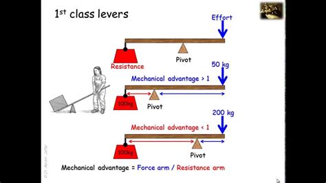 ️ Levers in our body. What Are the Different Types of Levers in the ...