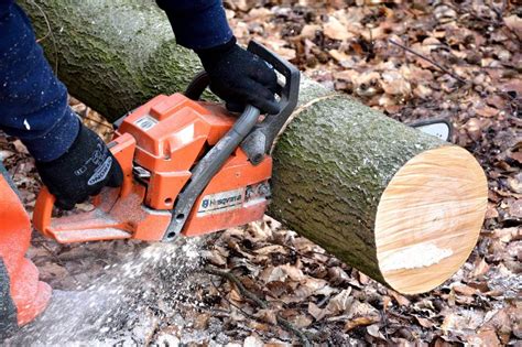 13 of the Best Types of Wood Cutting Tools