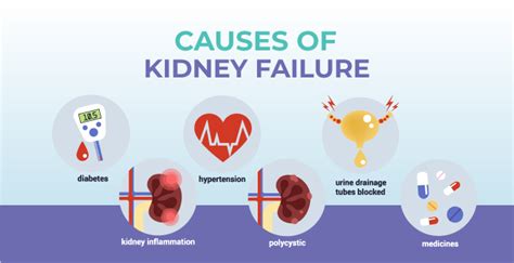 Reviving Kidney: Ayurvedic Remedies for Kidney Failure