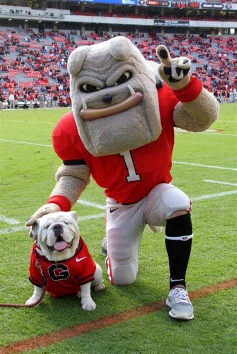 The Ultimate Guide To UGA Orientation - Society19 | Georgia bulldog ...