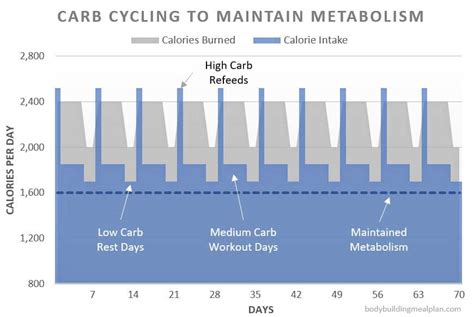 Best Carb Cycling Calculator - Get Your Free Plan