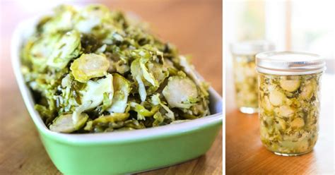 Fermented Brussel Sprouts | Fermentation Recipe