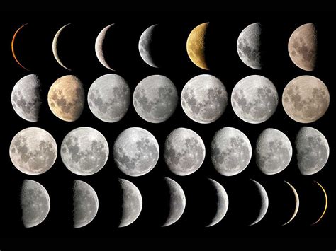 wallpaper: Moon Phases