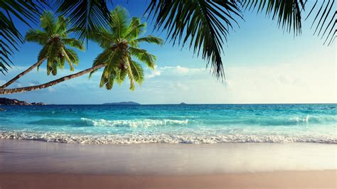 Tropical 4K Ultra HD Wallpaper [3840x2160]