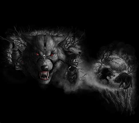 Black Wolf Pack Wallpaper