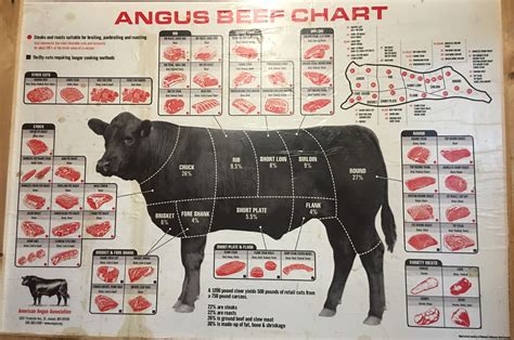 Meat From A Cow Diagram Http://masterman535.hubpages.com/hub