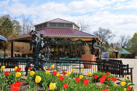 The Best Little-Known Zoo In Ohio: The Akron Zoo